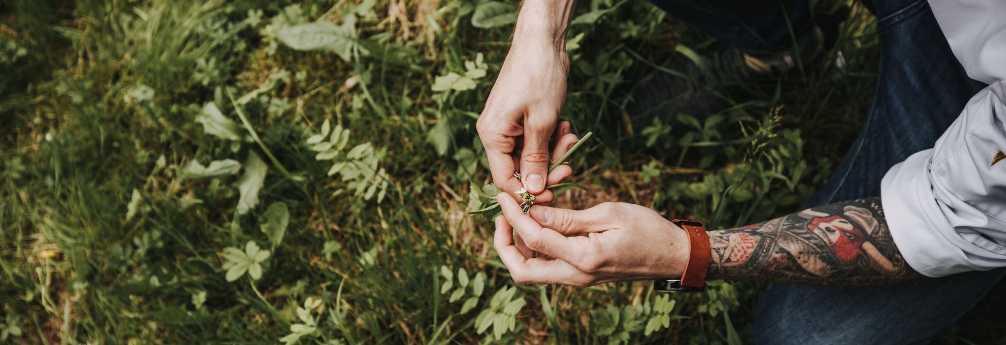 Kräutergarten Kochmeisterei, Hohenems