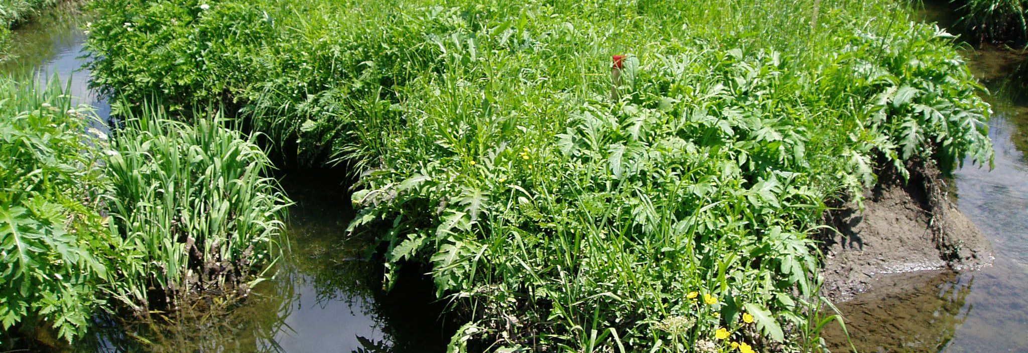 Barfussweg, Bizau Barfussweg, Bizau