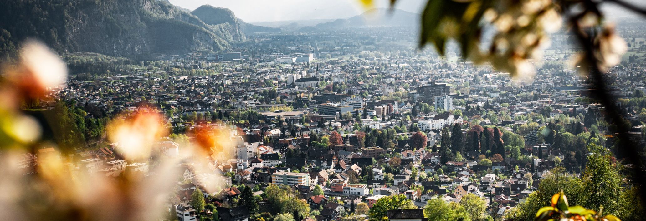 Blick auf Dornbirn Umgebung © Studio Fasching, Dornbirn Tourismus und Stadtmarketing GmbH