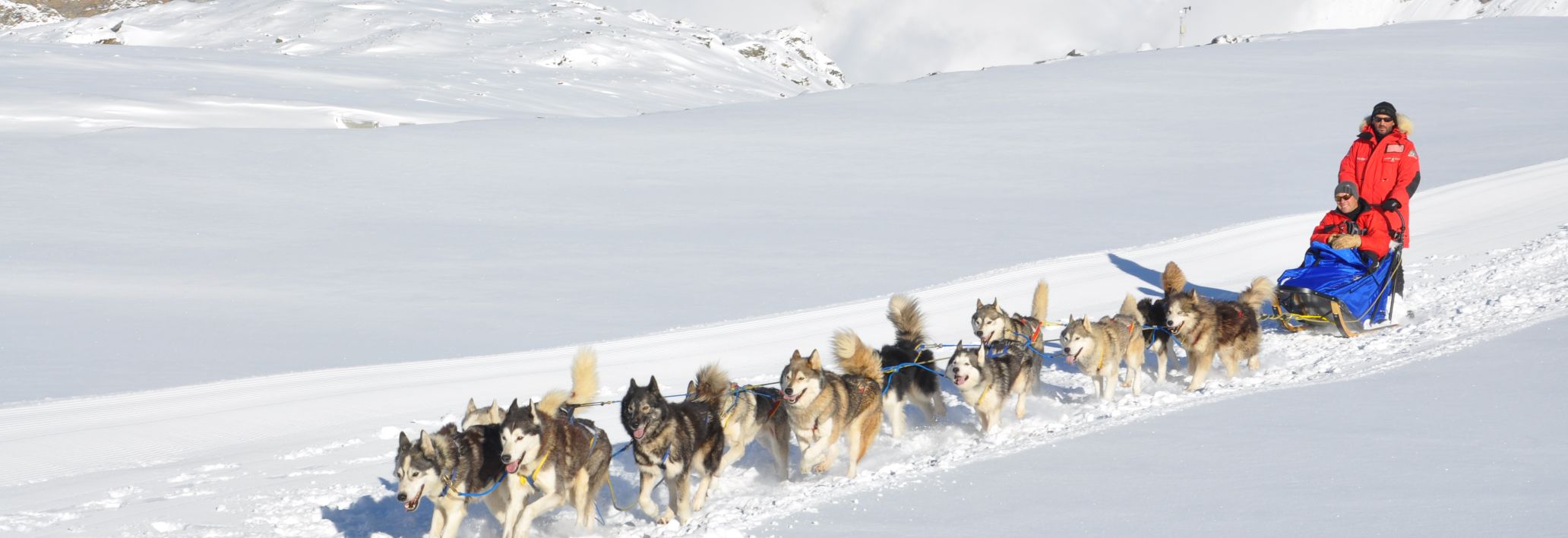 Husky Incentive, Vorarlberg Husky Incentive, Vorarlberg