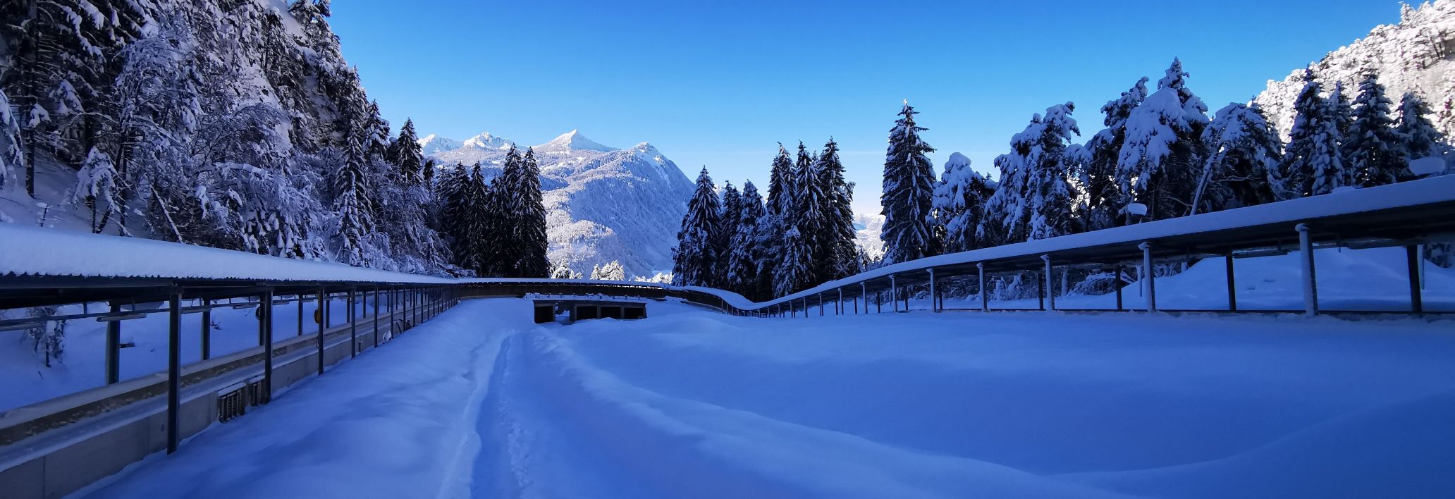 Bobfahren im Eiskanal Bludenz