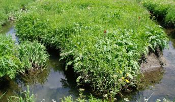 Barfussweg, Bizau Barfussweg, Bizau