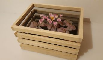 Teamworkshop Kräutertrockner aus Holz