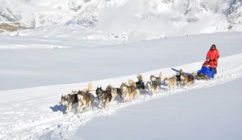 Husky Incentive, Vorarlberg