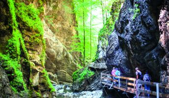 Alploch und Rappenlochschlucht Alploch und Rappenlochschlucht