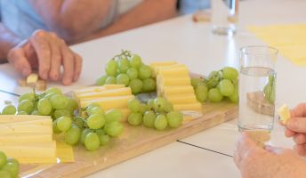 Verkostung Alpenkäse Bregenzerwald