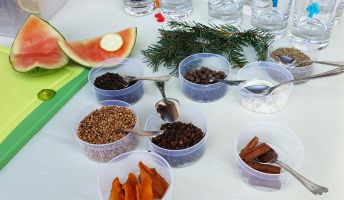 Zutaten Gin Workshop eventaktiv