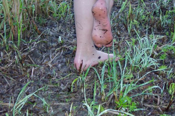 Barfussweg, Bizau Barfussweg, Bizau