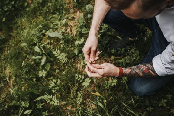 Kräutergarten Kochmeisterei, Hohenems Kräutergarten Kochmeisterei, Hohenems