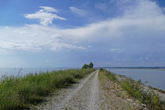 Birdwatching BirdsClub Rheindelta 
