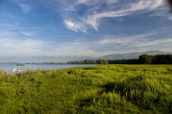 Naturschutzgebiet Rheindelta Birdsclub