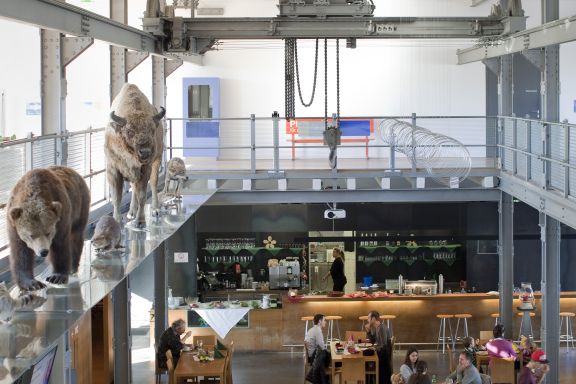 Foyer der inatura Erlebnisnaturschau in Dornbirn