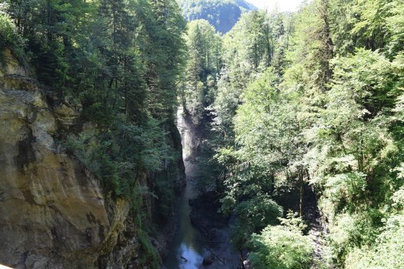 Blick in die Rappenlochschlucht