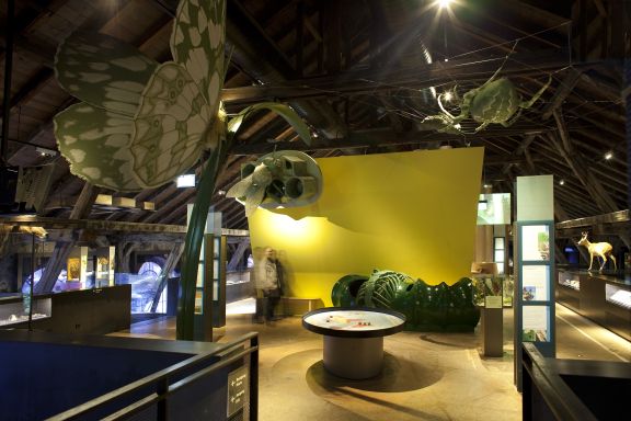 Ausstellung inatura Erlebnisnaturschau, Dornbirn