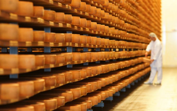 Senn im Käsekeller in Lingenau Senn im Käsekeller in Lingenau