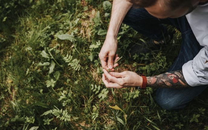 Kräutergarten Kochmeisterei, Hohenems Kräutergarten Kochmeisterei, Hohenems