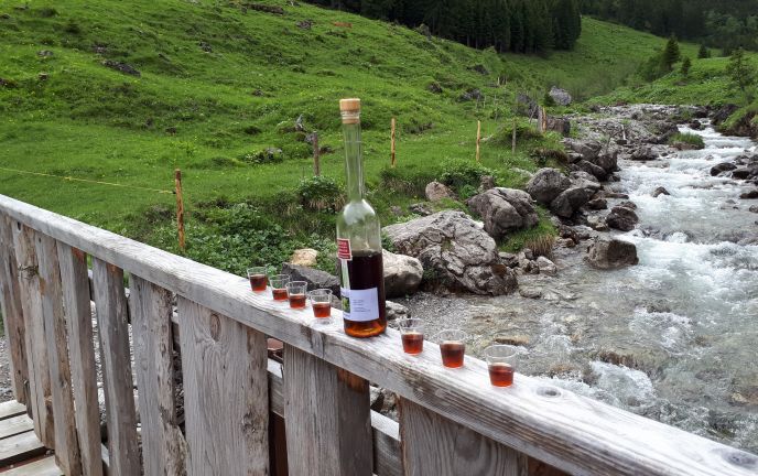 Likörverköstung Genusswanderung Kleinwalsertal Likörverköstung Genusswanderung Kleinwalsertal