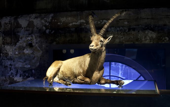 inatura Erlebnisnaturschau 