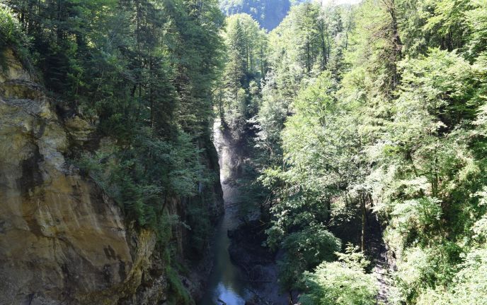 Blick in die Rappenlochschlucht