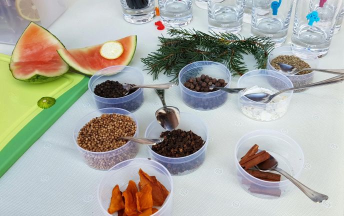 Zutaten Gin Workshop eventaktiv Zutaten Gin Workshop eventaktiv