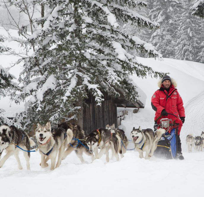 Hundeschlittenfahrt Hundeschlittenfahrt