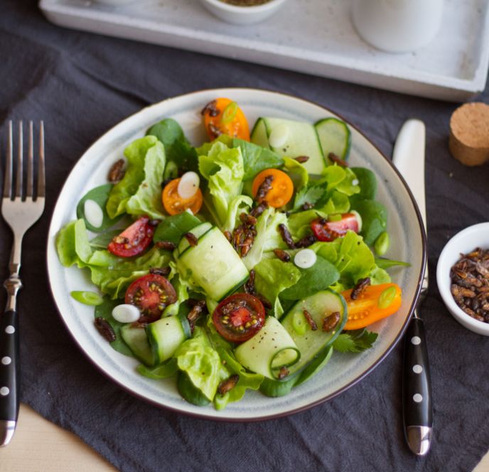 Insekten-Kochworkshop Insekten-Kochworkshop