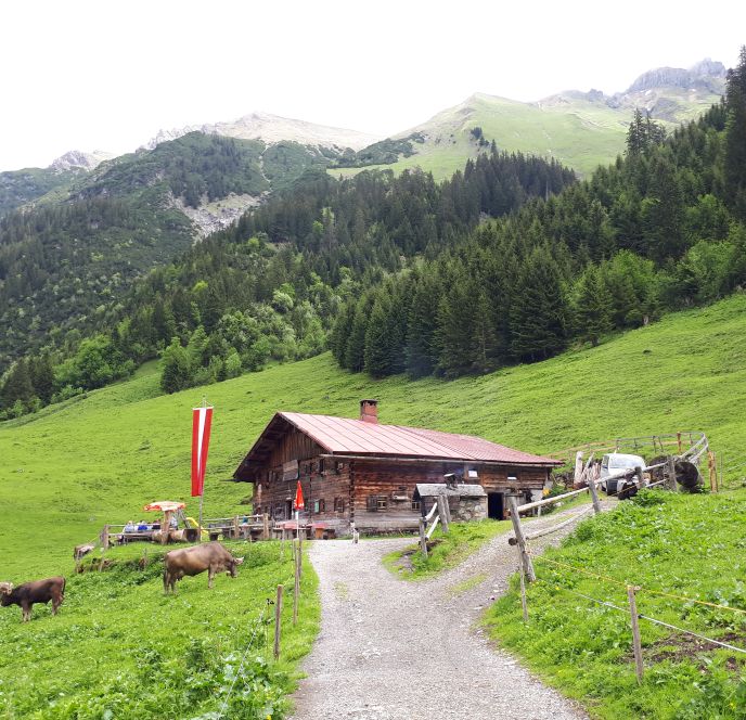 Alpe Genusswanderung Kleinwalsertal Alpe Genusswanderung Kleinwalsertal