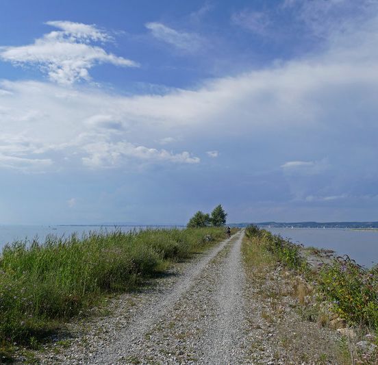 Birdwatching BirdsClub Rheindelta Birdwatching BirdsClub Rheindelta