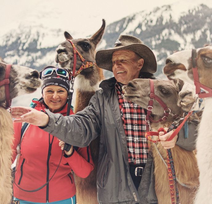 Lamatrekking im Silbertal Lamatrekking im Silbertal