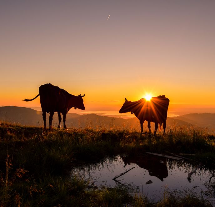 Sonnenaufgangswanderung Vordere Niedere Sonnenaufgangswanderung Vordere Niedere