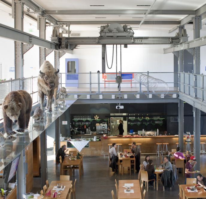 Foyer der inatura Erlebnisnaturschau in Dornbirn Foyer der inatura Erlebnisnaturschau in Dornbirn