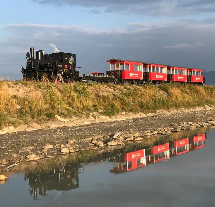 Rheinbähnle am Rheindamm