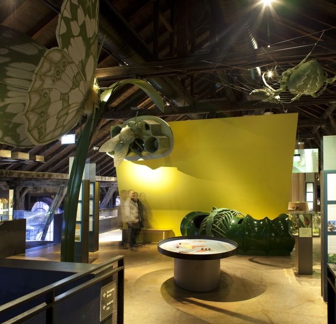 Ausstellung inatura Erlebnisnaturschau, Dornbirn