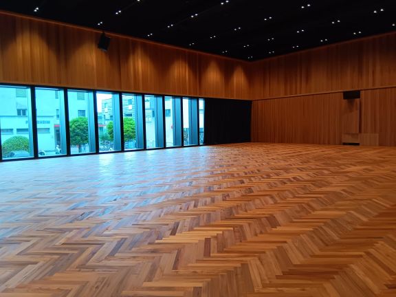 Saal5